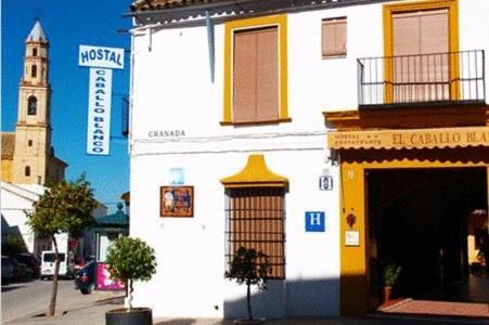 Hostal El Caballo Blanco Osuna Dış mekan fotoğraf
